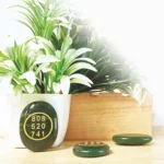 Green Jade Crystal Zibu Coin (Spiritual Connection & Manifestation)