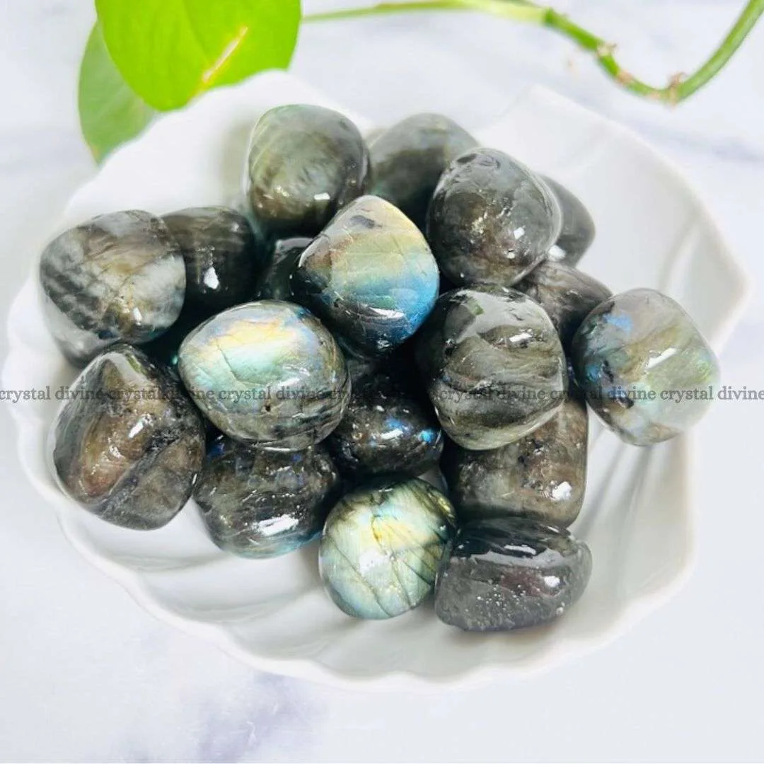 Labradorite Tumble Stone Pack of 5 (Grounding & Stabilizing)