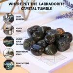 Labradorite Tumble Stone Pack of 5 (Grounding & Stabilizing)