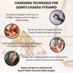 Gomti Chakra Pyramid (Prosperity & Wealth)