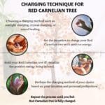 Red Carnelian Crystal Tree 300 Beads (Creativity & Inspiration)