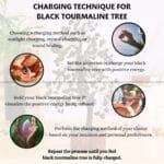 Black Tourmaline Crystal Tree 300 Beads (Protection From Negative Energy)