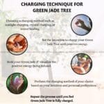 Green Jade Crystal Tree 300 Beads (Luck & Fortune)