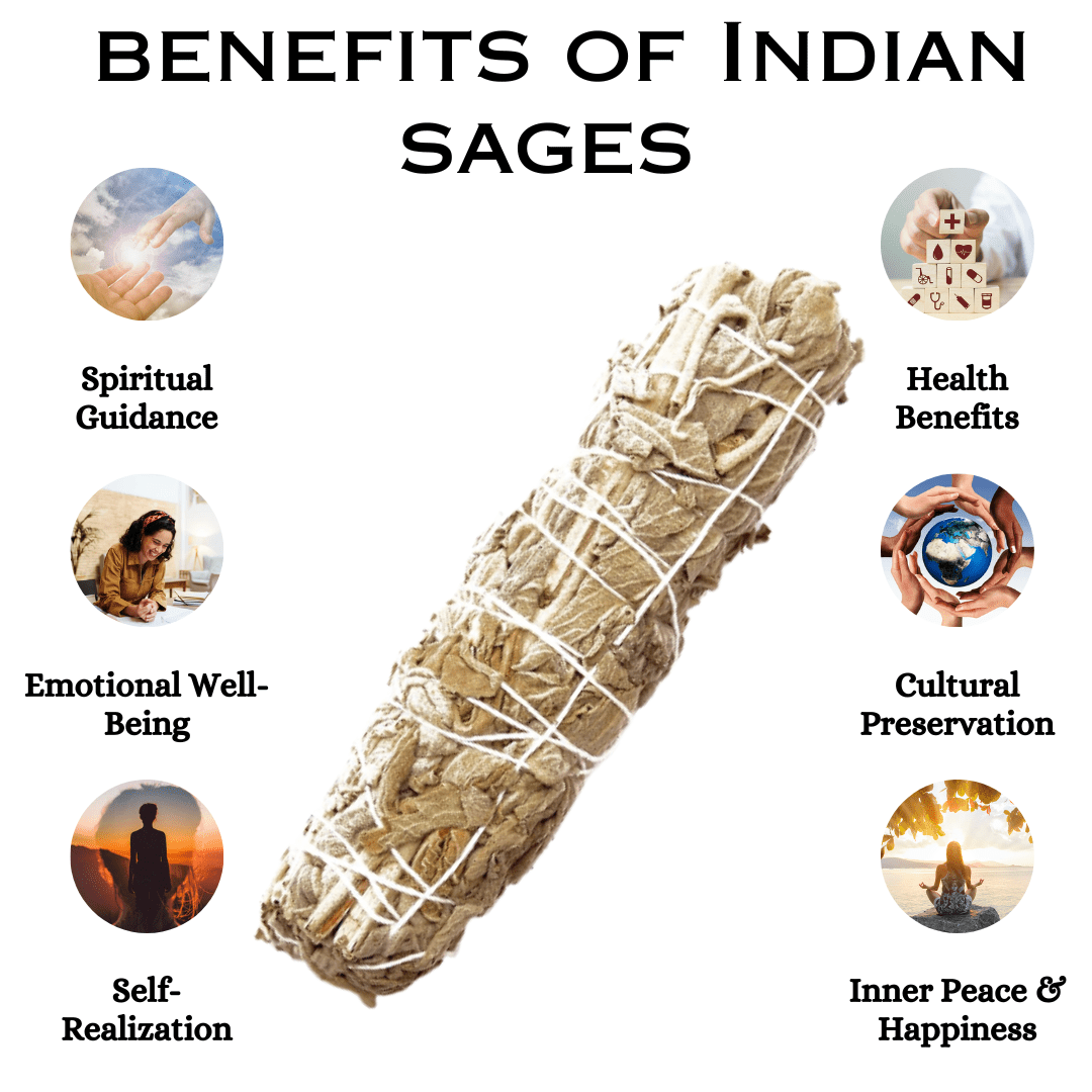 Indian Sage Pack Of 4 (Spiritual & Meditation)