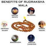 Rudraksh Jaap Mala 108 Beads (Spirtual Healing & Grounding)