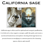 California Sage Pack Of 1 (Spiritual & Meditation)