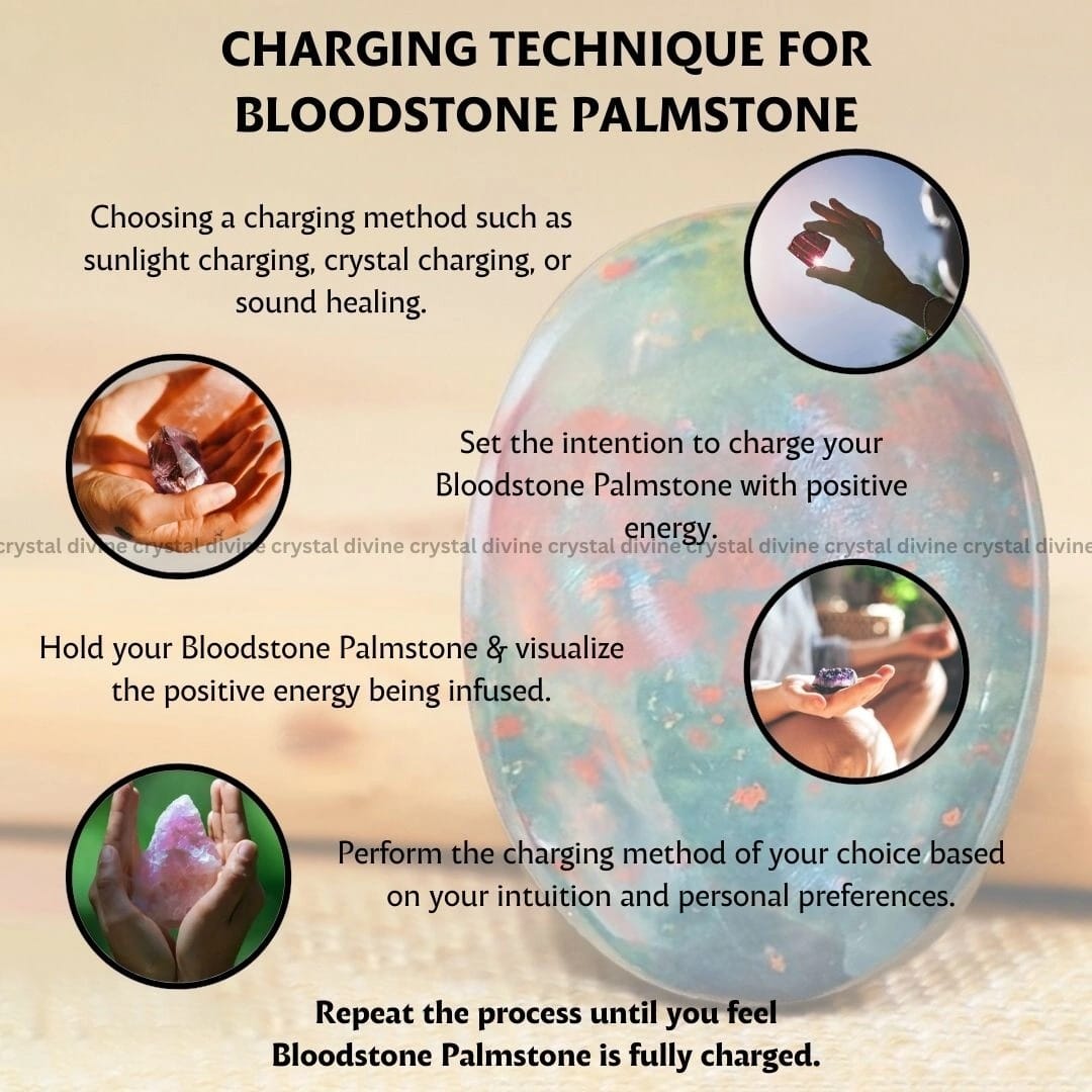 Bloodstone Crystal Palm Stone (Creativity & Motivation)