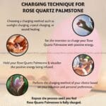 Rose Quartz Crystal Palm Stone (Love & Compassion)