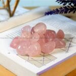 Rose Quartz Tumble Stone Pack of 5 (Love & Relationships)