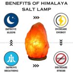 Himalayan Salt Lamp (Air Purification)