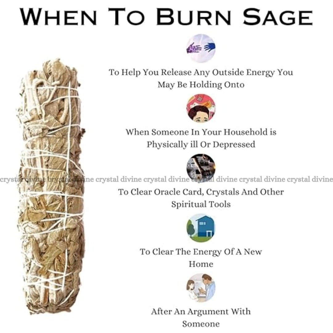 Indian Sage Pack Of 4 (Spiritual & Meditation)