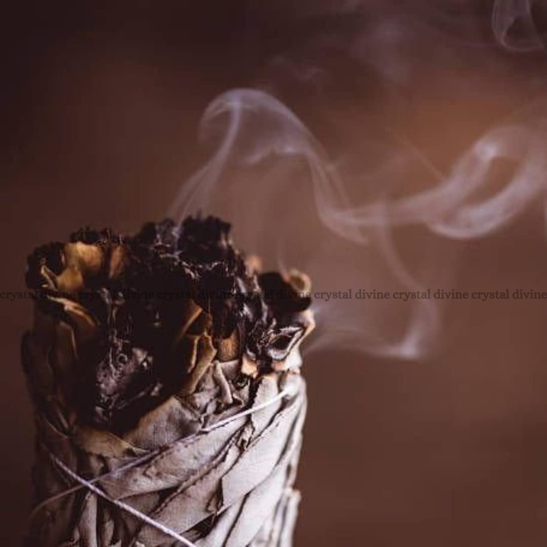 Indian Sage Pack Of 4 (Spiritual & Meditation)