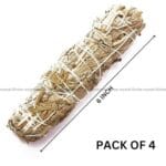 Indian Sage Pack Of 4 (Spiritual & Meditation)