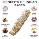 Indian Sage Pack Of 4 (Spiritual & Meditation)