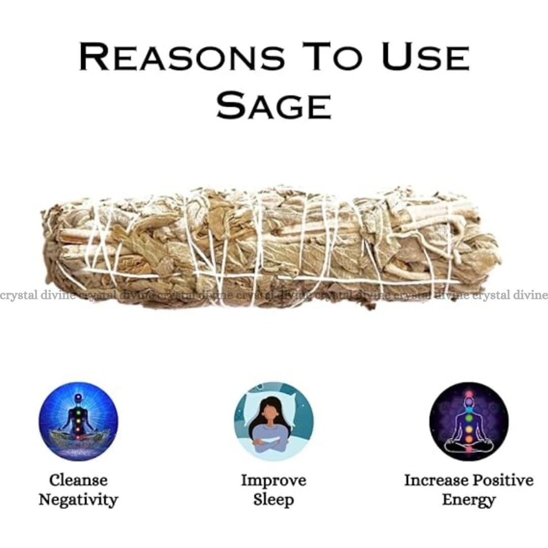 Indian Sage Pack Of 4 (Spiritual & Meditation)