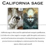 California Sage Pack Of 1 (Spiritual & Meditation)