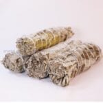 Indian Sage Pack Of 4 (Spiritual & Meditation)