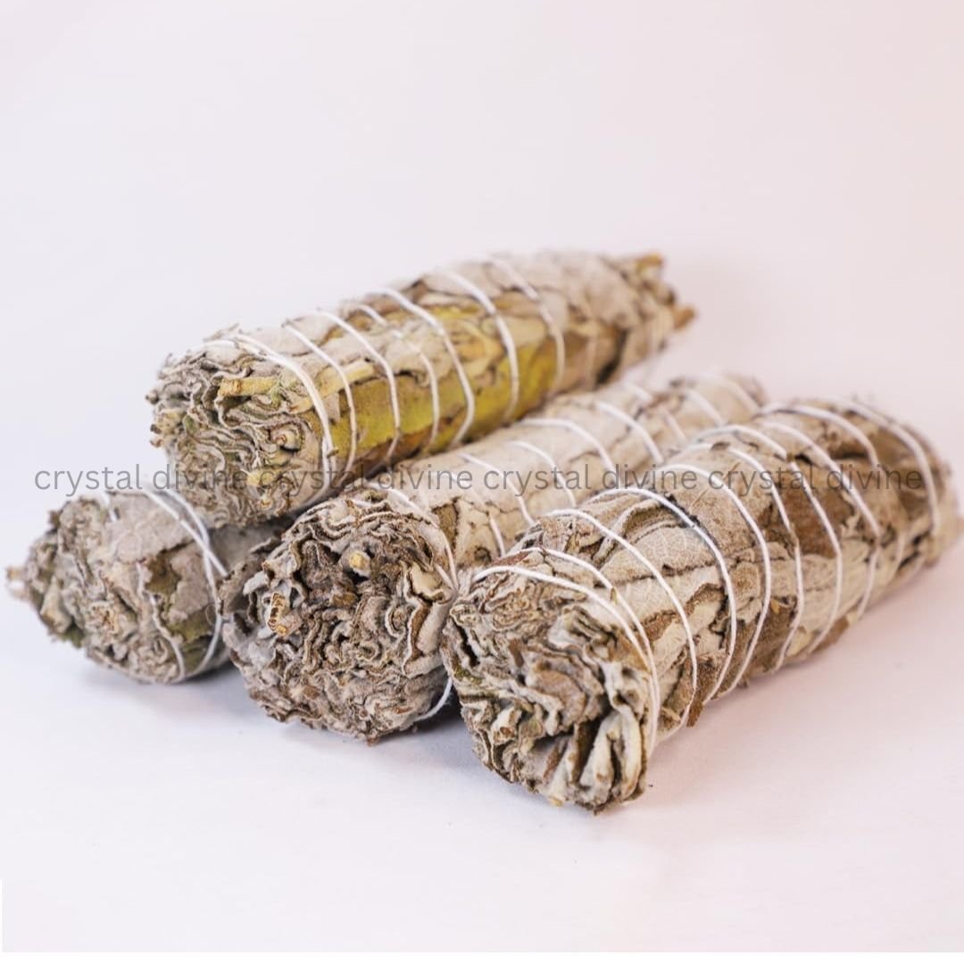 Indian Sage