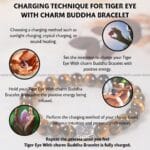 Tiger Eye With Buddha Charm Bracelet - 8 MM (Focus & Clarity)