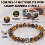 Tiger Eye With Buddha Charm Bracelet - 8 MM (Focus & Clarity)