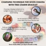 Seven Chakra With Tree Charm Bracelet - 8 MM (Emotional & Mental Stability)