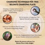 Tree Symbol Selenite Charging Plate With Wooden Box (Cleansing Energy & Recharging Crystals)