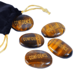 Tiger Eye Confidence Symbol Coin (Boosting Confidence)