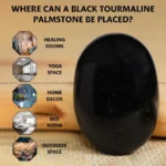 Black Tourmaline Crystal Palm Stone (Physical Healing)