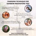 Rainbow Moonstone Crystal Tree 300 Beads (Enhanced Creativity)