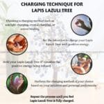 Lapis Lazuli Crystal Tree 300 Beads (Spiritual Growth)