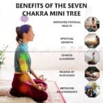 Seven Chakra Crystal Mini Tree Box (Symbolic Representation)