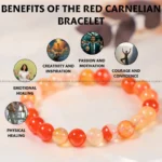 Red Carnelian Crystal Bracelet - 8MM (Grounding & Anchoring)