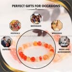 Red Carnelian Crystal Bracelet - 8MM (Grounding & Anchoring)