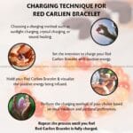 Red Carnelian Crystal Bracelet - 8MM (Grounding & Anchoring)