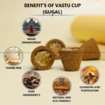Vastu Cow Dung Cup (Gugal)