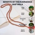 Rudraksh Jaap Mala 108 Beads (Spirtual Healing & Grounding)