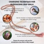 Rudraksh Jaap Mala 108 Beads (Spirtual Healing & Grounding)