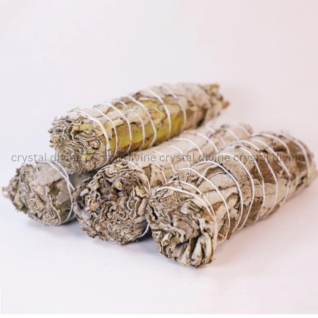 Indian Sage