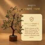 Money Magnet Ritual Kit (Pyrite, Citrine, Aventurine)