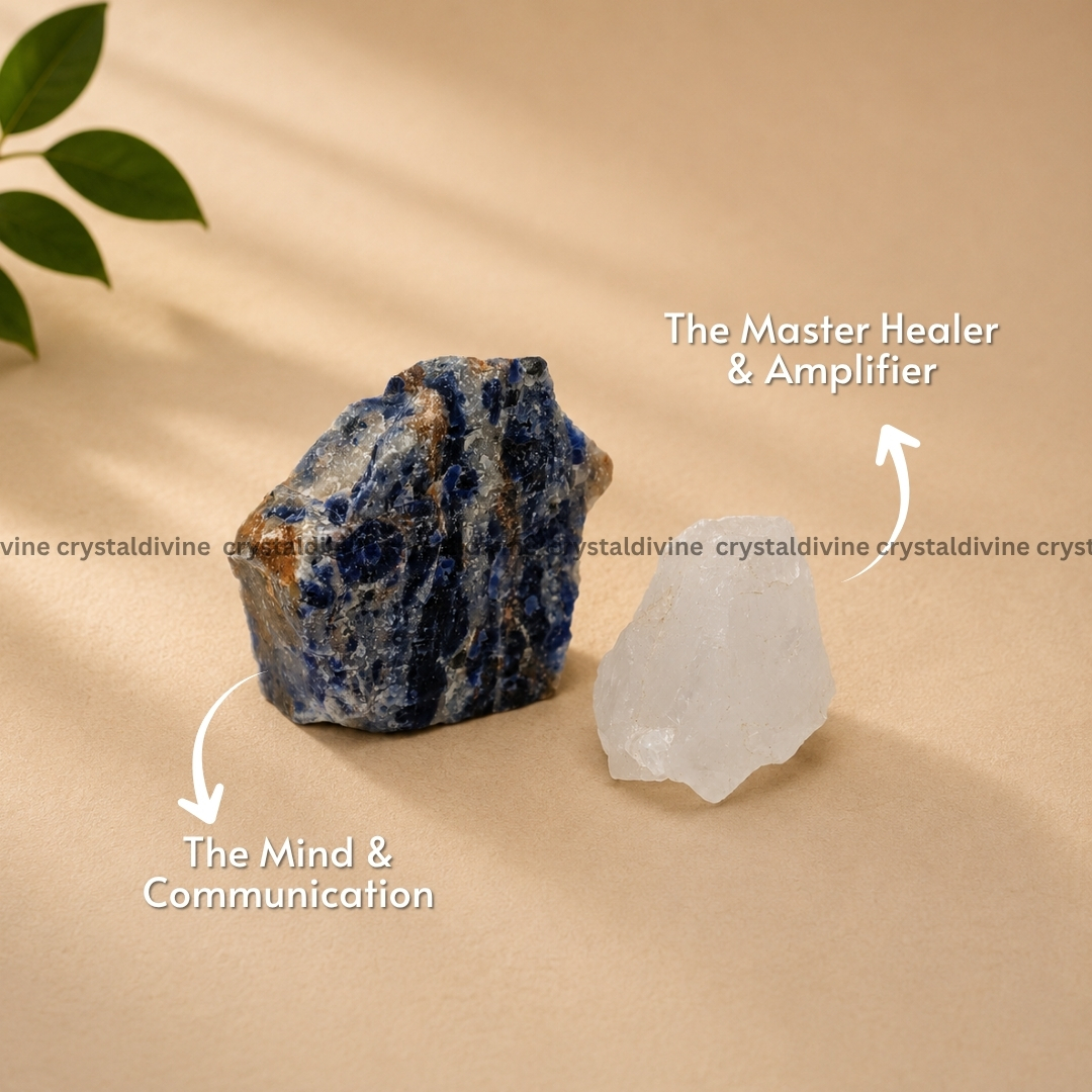 Focus & Clarity Combo (Mental Clarity & Positive Focus)
