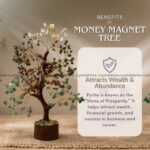Money Attraction Combo (Wealth & Prosperity)