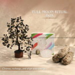 Full Moon Ritual Box (Manifestation & Spiritual Cleansing)