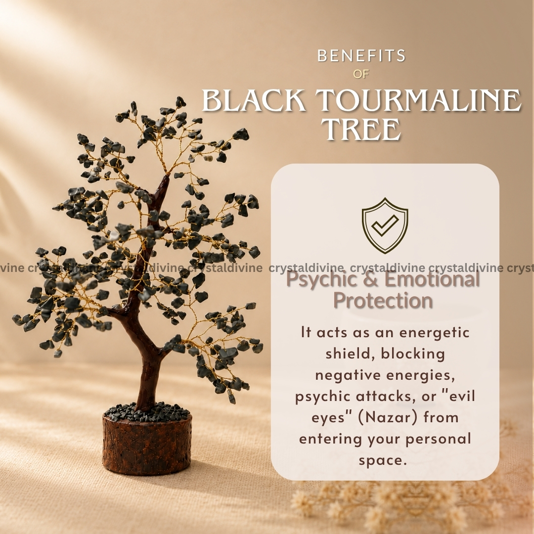 Cleansing Kit (Energy & Protection)