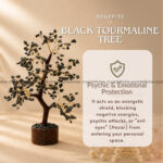 Protection Energy Kit (Protection & Balance)
