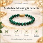 Malachite Magnet Bracelet-8mm(Transformation & Growth)